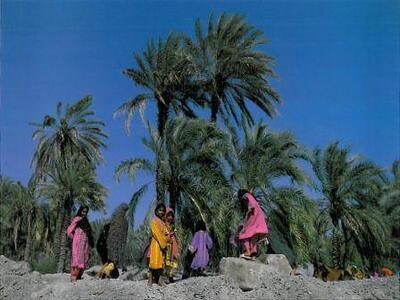 PalmsAndChildren_sm.jpg
